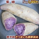 鹿児島さつまいも 紫娘5kg