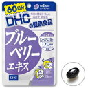 【DHC】 ブルーベリーエキス 60日分 120粒健康サプリ...