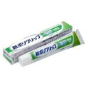 アース 新ポリグリップ 無添加 75g 医療機器入れ歯安定剤...