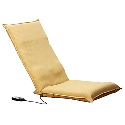 ʤ1Ĥ̵Х֥졼°ػ HM-100 ١