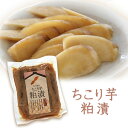 ちこり芋 粕漬 200g×1袋 / イヌリン で話題のちこり芋 / 漬け物 粕漬け お漬物 つけもの 観光地応援