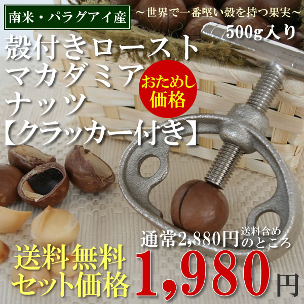 【送料無料】中粒殻付きマカダミアナッツ(ロースト)500g×1袋●少し深煎りしました専用殻割り機（クラッカー)1個付きスイーツ お取り寄せ●お買い得セット価格1,980円お歳暮 【新鮮発芽野菜のサラダコスモ】