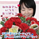 【早割り22%OFF】母の日ギフト♪【送料無料】中津川花農家のカーネーション 5号鉢花&選べるサプライズセット美濃ちこり焼酎ミニボトル・栗きんとん・メッセージ入りロールケーキ スイーツの中から1品【サラダコスモ】鉢植え 赤・ピンク系他おまかせ