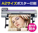 マット合成紙ポスター印刷2枚セット(A2サイズ)【データ入稿必須】【02P09Jul16】