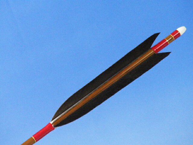 【弓道】【矢】【D-500】ミズノバンブーカーボン SST80-24BC 黒手羽