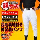 【あす楽対応】ジュニア野球ユニフォームパンツ 冬用裏起毛練習...