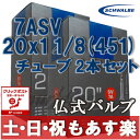 【返品保証】 SCHWALBE シュワルベ ミニベロ チューブ 20×11/8(451)用チューブ 仏式バルブ 7ASV 2本セット 【クリックポスト164円】【あす楽】