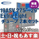 【返品保証】 SCHWALBE シュワルベ マウンテンバイク 軽量チューブ 27.5(650B) / 29er 用チューブ 仏式バルブ 19ASV 2本セット MTB 【あす楽】