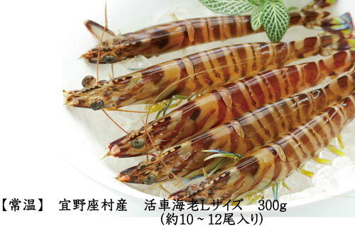 https://thumbnail.image.rakuten.co.jp/@0_mall/san-a/cabinet/05638396/imgrc0071462746.jpg?_ex=500x500