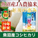 【29年産 新米予約 コシヒカリ 魚沼産】新潟県 魚沼産 越後の恵み JA農協米特A地区 コシヒカリ5kg 魚沼産地限定 【米 こしひかり 送料無料】