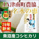 【29年産 コシヒカリ 魚沼産】新潟県 中魚沼 JA津南町農協特A地区 コシヒカリ 10kg名水の恵【米 こしひかり】