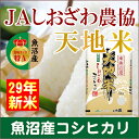【29年産 新米予約 コシヒカリ こしひかり 魚沼産】新潟県 南魚沼 JAしおざわ農協特A地区 コシヒカリ 5kg天地米【米 送料無料 ギフト】
