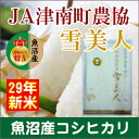 【29年産 コシヒカリ 魚沼産】新潟県 中魚沼 JA津南町農協特A地区 コシヒカリ 5kg雪美人【米 特別栽培米 こしひかり】