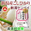 【令和2年産 新潟県産 コシヒカリ】新潟県産 JAえちご上越 コシヒカリ5kg産地限定 新潟ケンベイ産 送料無料【こしひかり ギフト 贈り物】