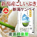 【令和2年産新米 新潟県産 コシヒカリ】新潟県産 新潟米 こしいぶき5kgJA農協米 新潟ケンベイ産 送料無料【こしひかり ギフト 贈り物】
