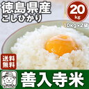 佐那河内農園独占販売契約米【平成29年度産】徳島県産こしひか...
