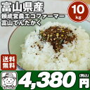 【送料無料】頼成営農 エコファーマー 富山てんたかく【平成28年 新米】 10kgふっくら つやつややわらかお米※北海道、沖縄及び離島は別途発送料金が発生します