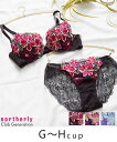 【northerly】 マーガレットレースブラジャー&ショーツセットGHカップ