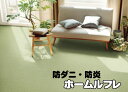 【送料込み(沖縄・離島は別途送料)】《ホームルフレ》江戸間サイズ3畳(176×261cm)スミノエカーペット防ダニ・防炎・ループ無地絨毯(じゅうたん)ラグ☆ジュータン