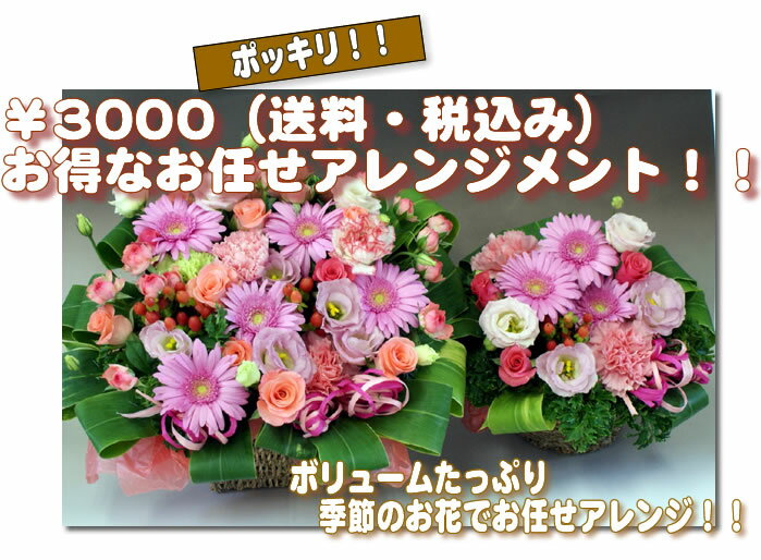 季節のおまかせアレンジメント！！花栄養素入り・切り花活力液付き