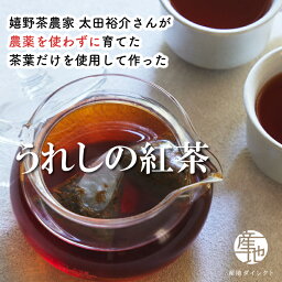 国産 嬉野茶 うれしの紅茶（ティーパッグ【2g×20パッグ】）（リーフタイプ【80g袋入り】）嬉野温泉で有名な嬉野で自社栽培そして自社製造している和紅茶 飲料 佐賀緑健