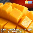 宮崎県 JA西都産完熟マンゴー　青秀 2L　1玉（350g以上）※クール便お一人様5点迄、限定300箱　3,980円を⇒1,980円※さらに送料無料！