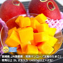 宮崎県 JA西都産 完熟マンゴー「太陽のタマゴ」青秀以上 3L 2玉入り (450g以上×2玉)※クール便