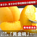 山形県産　希少で美味な桃「黄金桃」産地直送品！2キロ（5玉〜8玉）