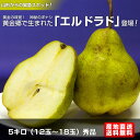 山形産エルドラド　5キロ（12玉〜18玉）秀品黄金の味覚！　神秘の洋ナシ黄金郷で生まれた「エルドラド」登場！