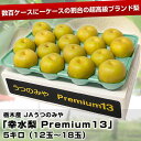  栃木産 JAうつのみや豊水梨 Premium13 5キロ（12玉〜18玉）甘さ最高級！　糖度はすべて13度以上。梨の美味しさの限界に挑んだ究極梨Premium13登場