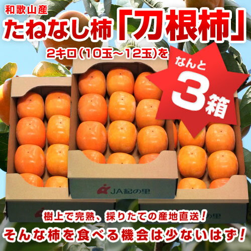 和歌山産 JA紀の里種無し柿　2kg（10〜12玉）×3箱 ⇒2,980円・送料無料！