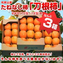 和歌山産 JA紀の里種無し柿 2kg(10~12玉)×3箱 ⇒2,980円・送料無料!