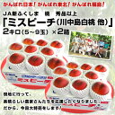 頑張れ福島!桃「ミスピーチ」品種 川中島白桃 他・秀品以上2箱で⇒3,500円!今だけ送料無料!