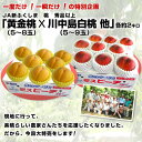 頑張れ福島!「ダブルピーチ」黄金桃×川中島白桃 各約2キロ2箱3,500円 送料無料!