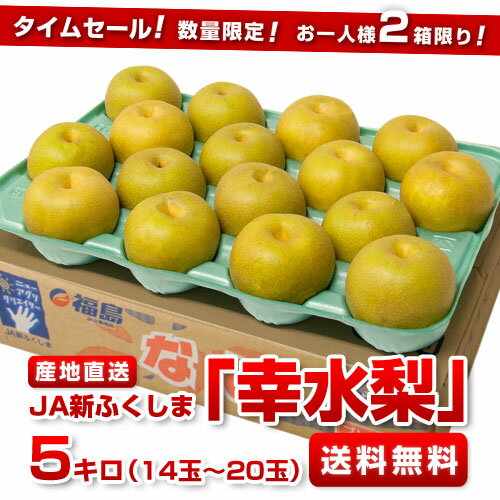 200セット緊急追加！JA新ふくしま幸水梨5キロ（14玉〜20玉）1,980円・送料無料