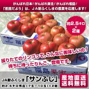 JA新ふくしま　サンふじ　約2.5キロ　秀品（7玉〜10玉）2箱セット約2.5キロ2箱を2,980円・送料無料で大奉仕！今回だけの特別の企画です。