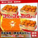 熊本産　夢未来みかん 品種：早生（わせ）みかん3キロ （Lサイズ約24玉）×3箱⇒3,000円・送料無料！いよいよ本番！早生みかん でお届けします。マルチ栽培！センサー選別！技術の粋！を極めたみかんです。産地直送品！