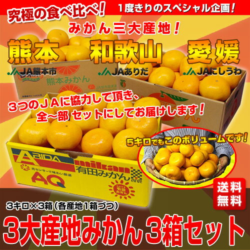 究極の食べ比べ！みかん3大産地（愛媛・和歌山・熊本）合計9キロ （L〜2Lサイズ21玉〜24玉×3箱）⇒全部で3,000円・送料無料！一度だけのスペシャル企画！合計9キロ　各産地1箱ずつ3キロ・3箱 全部で3,000円・送料無料！