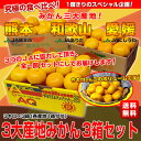 3大産地みかん（愛媛・和歌山・熊本）全部お届け 3箱⇒2,980円・送料無料！究極の食べ比べ！3大産地みかん全部お届け。　食べ比べて、感想お聞かせください。