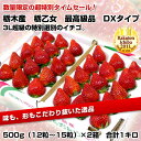 栃木産　栃乙女　特大サイズ　1キロ　「500g（12〜15粒）×2箱」5,000円を⇒2,300円・送料無料！