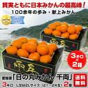 愛媛産 日の丸みかん 千両3キロL又は2Lサイズ（21~24玉）×2箱