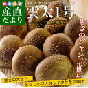 送料無料 島根県より産地直送 奥出雲椎茸 オリジナル椎茸 雲...