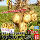  北海道ジャガイモの最高級品 「今金男しゃく（S）」10キロ⇒1,980円ホクホクを極めた北国の男爵！