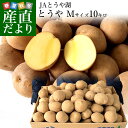送料無料 北海道から産地直送 JAとうや湖 じゃがいも 湖ばれいしょ「とうや」 Mサイズ