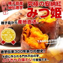 種子島から産地直送!究極の安納紅「みつ姫」1.8キロ