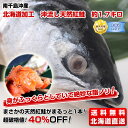 南千島沖産　北海道加工　沖流し天然紅鮭　約1.7キロ身がふっくらとしていて絶妙な脂ノリ！