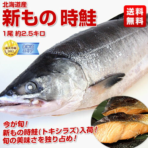 【新物トキシラズ緊急入荷！】北海道産時鮭　2.5キロ　9800円⇒6980円送料無料！