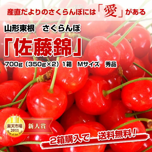 　山形東根　さくらんぼ「佐藤錦」350g×2　1箱　Mサイズ　秀品50％引き⇒1,980円・2箱で送料無料！今だけ2箱購入で送料無料！