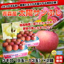 青森JAつがる弘前 糖度13度以上「葉とらず太陽サンふじりんご」約3キロ（9玉〜13玉）×2箱⇒合計約6キロ 産地直送品糖度はなんと13度以上！衝撃の味!2箱で2,990円・しかも送料無料！
