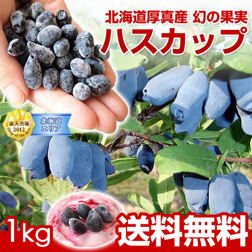 北海道厚真産幻の果実ハスカップ　500g×2※冷凍酸味につつまれる果樹の味わい！さわやかな甘さとほろ苦さがクセになります。